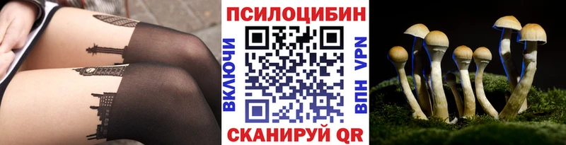 даркнет Telegram  Бронницы  Галлюциногенные грибы Psilocybine cubensis  купить наркоту  mega рабочий сайт 